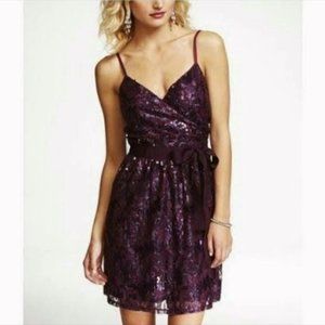 Express Purple Sequin Dress